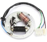 Plaque de stator magnétique à double bobine d'allumage Accessoire pour moto Yamaha PW80