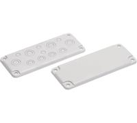 Plaque de traversée de câble Fibox MB 10890 3530890 Polycarbonate gris clair (RAL 7035) 1 pc(s)