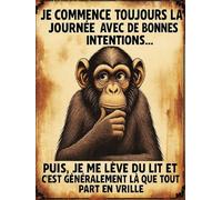 Plaque déco Singe Bonnes intentions aluminium humour rigolo fun rétro vintage 20x30cm