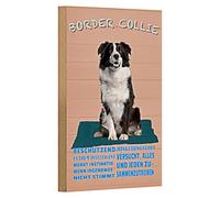 Plaque décorative Border Collie - Charmant motif animal de compagnie pour les amoureux des chiens - Idéal pour la maison et le bureau - 12 cm x 18 cm