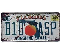 Plaque décorative en aluminium pour voiture Motif Floride vintage 30,5 x 15,2 cm
