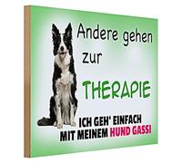 Plaque décorative en bois « Andere gehen zur Therapie, Ich geh' einfach mit meinem Hund Gassi » - Cadeau amusant pour les propriétaires de chiens - Vert avec motif Border Collie - 40 cm x 30 cm