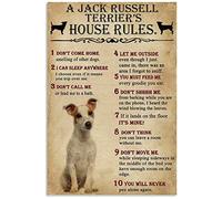 Plaque décorative en métal avec inscription « Jack Russel Rules Notice Funny for Living for Dad » - 20,3 x 30,5 cm