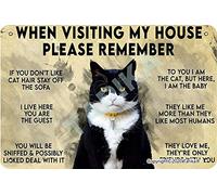 Plaque décorative murale en fer avec inscription « When Visiting My House Please Remember Love Cat Rules » 20 x 30 cm