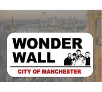 Plaque décorative Oasis - Reproduction de panneau de rue Wonderwall - 20,3 x 30,5 cm