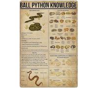 Plaque décorative vintage en métal représentant un python royal, représentant les couleurs et les symptômes de l'obésité chez Regius, pour une ferme, un jardin ou un mur, 20 x 30 cm
