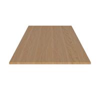 Plaque d'extension Nord LxWxH 100x50x2.6cm