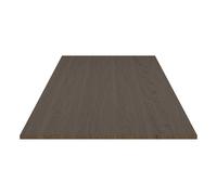 Plaque d'extension Nord LxWxH 100x50x2.6cm