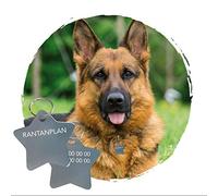 Plaque d'Identification Chien Avec Gravure Personnalisé - Plaque Personnalisable ETOILE En Aluminium 37 x 37 mm - Coloris Argent