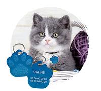 Plaque d'Identification Personnalisé pour Chat PATTE - Plaque Chat Personnalisable En Aluminium 26 x 28 mm - Coloris Bleu