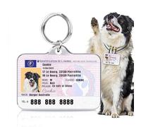 Plaque d'identification personnalisée en forme de permis de conduire pour chiens et chats - Étiquette d'identification personnalisée et résistante pour animaux de compagnie avec nom et photo