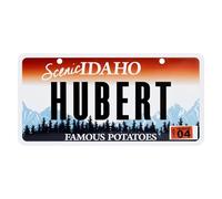 Plaque d'immatriculation américaine avec nom en aluminium - Plaque murale avec ventouses (HUBERT)