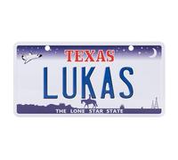 Plaque d'immatriculation américaine avec nom, plaque nominative en aluminium, plaque murale, plaque de porte, plaque d'immatriculation américaine avec ventouses (LUKAS)