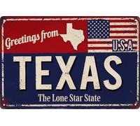 Plaque d'immatriculation vintage Texas - 20,3 x 30,5 cm - Drapeau américain et étoile solitaire - Décoration murale pour maison, bar, café, garage - Plaque en métal résistante aux intempéries