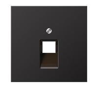 Plaque D'insertion Jung - AL2969-1UAD