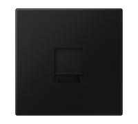 Plaque D'insertion Jung - LS1969-15WESWM