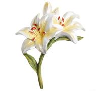 Plaque d'interrupteur 3D en résine florale conçue pour les prises électriques ajoutant une touche artistique à n'importe quelle pièce (A)