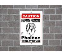 Plaque en aluminium avec inscription « Property Protected by Phal¨ne Guard Dog Warning Yard Fence Race » - 20,3 x 30,5 cm