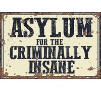 Plaque en aluminium vintage « Asylum For The Criminally Insane » - 20,3 x 30,5 cm - Décoration murale vintage