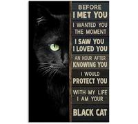 Plaque en aluminium vintage « Before I Met You I Wanted You The Moment » pour maison, restaurants, cafés, pubs - 20,3 x 30,5 cm