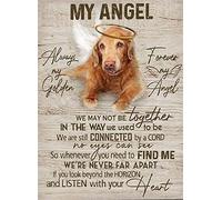 Plaque en étain pour chambre à coucher, salle de bain, décoration murale « Dog Lover My Angel Always My Golden All You Need is Love and A Dog » - 30,5 x 20,3 cm