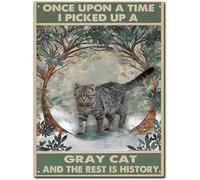 Plaque en étain vintage amusante en métal « Once Upon A Time I Picked Up A Gray Cat And The Rest Is History » - Décoration murale pour maison, café, 20,3 x 30,5 cm