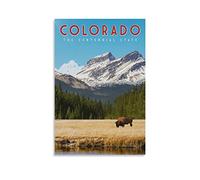 Plaque en étain vintage Colorado Centennial State Tree Funny Metal Sign Vintage Wall Art pour cuisine jardin salle de bain ferme maison café Decor Tin Sign 20x30cm