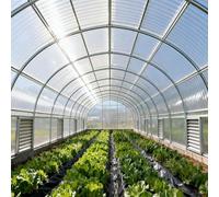 Plaque en Fibre de Verre 0.8mm, Panneaux d'éclairage Naturel de Toiture pour Auvents, Garages, Abris, Terrasses, Jardins(1x2m)