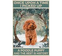 Plaque en métal amusante pour femme - Décoration murale vintage avec inscription « Once Upon A Time I Picked Up A Poodle Puppy Love Caniche Puppy Love » - Décoration d'intérieur - 20,3 x 30,5 cm