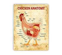 Plaque en métal - Anatomie du poulet - Affiche vintage sur l'anatomie du poulet - Encyclopédie des animaux - Décoration de ferme - Décoration murale pour la maison et la cuisine - Cadeau - 20 x 30 cm