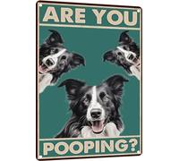 Plaque en métal avec inscription « Dog Border Collie Are You Pooping » - Rétro - En aluminium - Pour la maison, la cuisine, la salle de bain, le jardin, le bar - 30,5 x 40,6 cm
