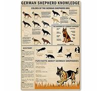 Plaque en métal avec inscription « German Shepherd Knowledge » - Poster rétro - Infographie de la ferme - Décoration murale - 20,3 x 30,5 cm