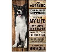 Plaque en métal avec inscription « I Am Your Friend Your Partner Your Partner Your Border Collie » sur le thème du bois - 20,3 x 30,5 cm