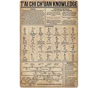 Plaque en métal avec inscription « Kung Fu Knowledge », infographie anatomique du Tai Chi Chuan, plaque en aluminium pour arts martiaux, salle de sport, club, maison, chambre à coucher, école, décorat