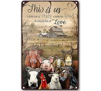 Plaque en métal avec inscription « This Is Us A Little Bit Crazy Animals Farm » - Décoration murale - 40,6 x 30,5 cm