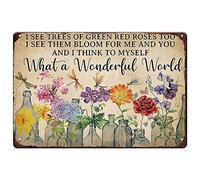 Plaque en métal avec motif libellule et fleurs, inscription « What a Wonderful World I See Trees of Green Red Roses Too » - Décoration murale de jardin en métal - 30,5 x 20,3 cm