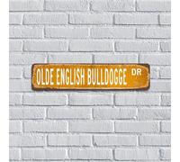 Plaque en métal avec nom d'animal de compagnie, plaque décorative en métal pour chambre à coucher, cuisine, salle de bain, pour homme, 10,2 x 45,7 cm