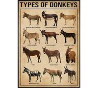 Plaque en métal avec types d'ânes humoristiques, affiche de connaissances d'âne, affiche d'âne, affiche en métal d'âne 20,3 x 30,5 cm