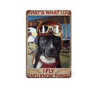Plaque en métal en aluminium - Décoration murale - Chien dogue allemand « That's What I Do I Fly And I Know Things » - Décoration murale rétro pour cuisine - 20,3 x 30,5 cm