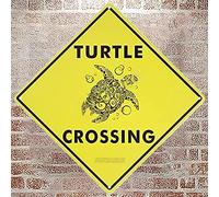 Plaque en métal en aluminium pour intérieur et extérieur - Motif tortue traversant la ferme Xing - 20,3 x 20,3 cm