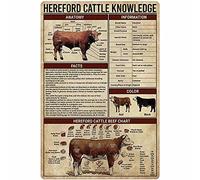 Plaque en métal Hereford Cattle Knowledge Anatomie Affiche en étain Animal Farm Club Éducation scolaire Décoration murale Plaque 8x12 pouces