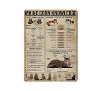 Plaque en métal Maine Coon Cat Knowledge en métal - Décoration murale vintage - Poster rétro pour bars, restaurants, cafés, pubs - 40,6 x 30,5 cm