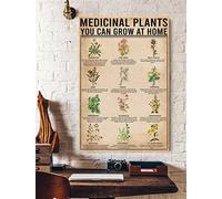 Plaque en métal pour plantes médicinales - Plantes médicinales - Plantes médicinales - Affiche de jardinage - Décoration murale en métal - 20,3 x 30,5 cm