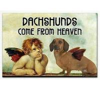 Plaque en métal pour teckels Come From Heaven - Décoration murale fantaisie - Cadeau d'anniversaire - Panneau de jardin - Plaque d'impression vintage - 20,3 x 30,5 cm
