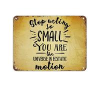 Plaque en métal rétro avec citation d'encouragement « Stop Acting So Small You are The Universe in Ecstatic Motion » - 30,5 x 40,6 cm - Cadeau saisonnier pour un ami ou un collègue