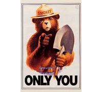 Plaque en métal rétro en aluminium avec inscription « Smokey Bear », « Only You » - 20,3 x 30,5 cm