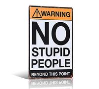 Plaque en métal rustique avec inscription « Warning No Stupid People Beyond This Point » - 20,3 x 30,5 cm