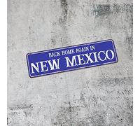 Plaque en métal rustique « Back Home Again in New Mexico » - Décoration murale pour chambre à coucher, salon, salle à manger - Rose - 7,6 x 30,5 cm - Cadeau de Noël