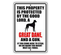 Plaque en métal « This Property Is Protected By The Good Lord A Great Dane Dog » - 30,5 x 20,3 cm