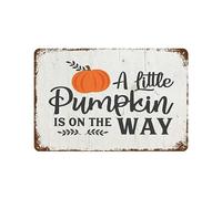 Plaque en métal vintage « A Little Pumpkin Is On The Way » - Décoration murale rétro pour cuisine, bar, café, restaurant, maison, chambre, garage, salle de bain - 20,3 x 30,5 cm